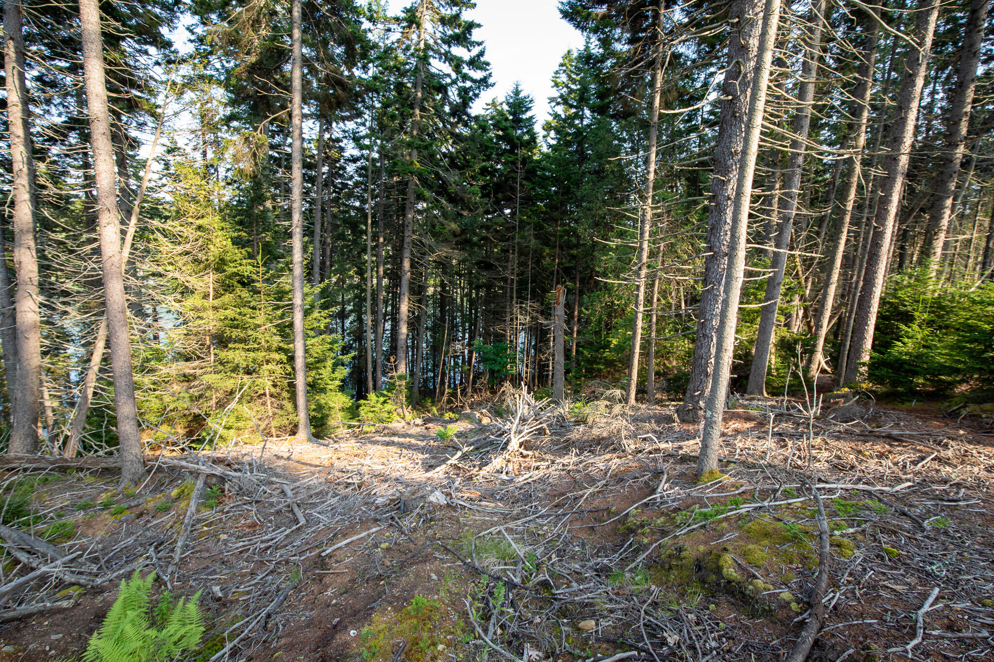 0 Bayview Road Harpswell ME 04066