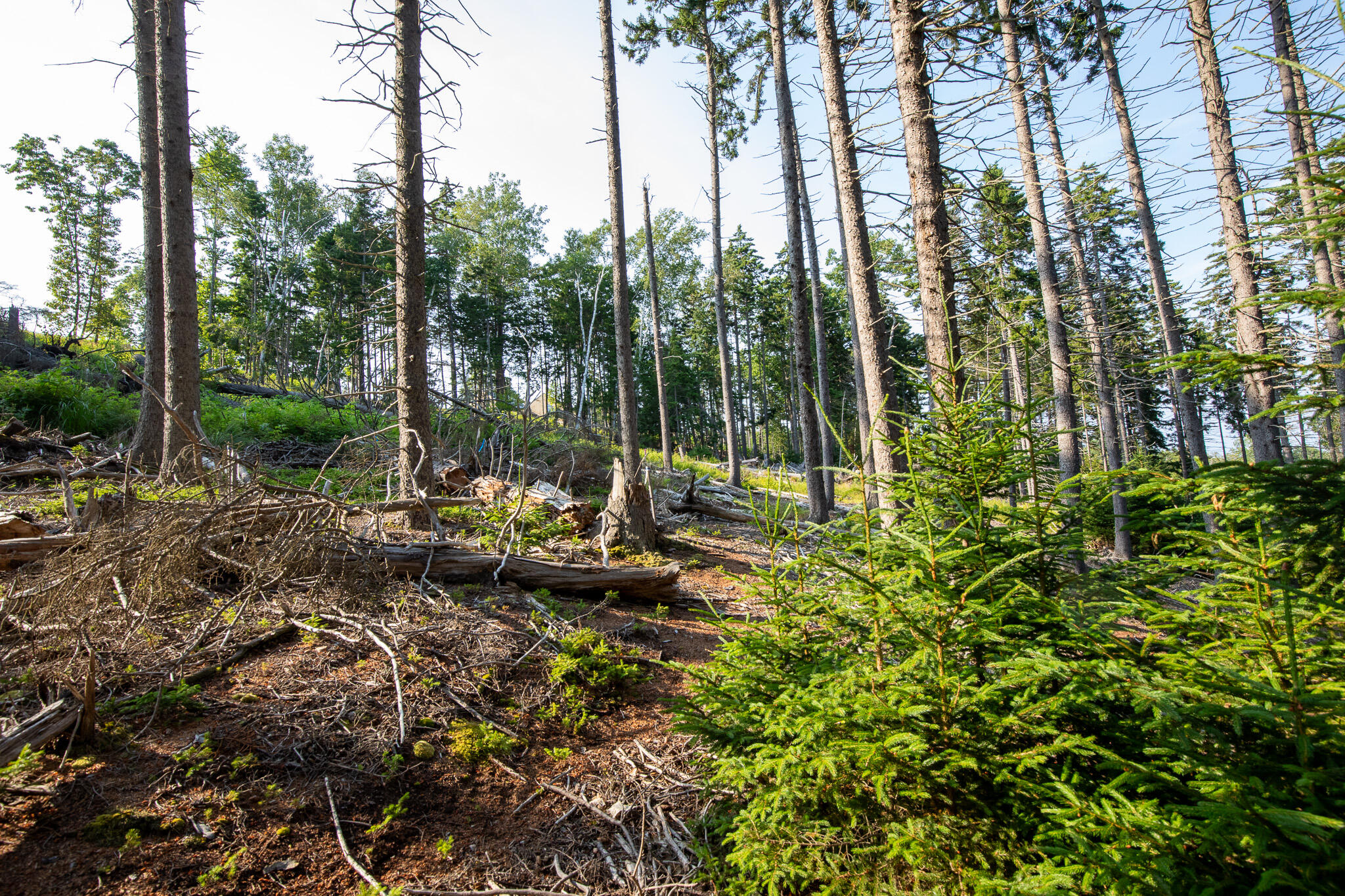 0 Bayview Road Harpswell ME 04066