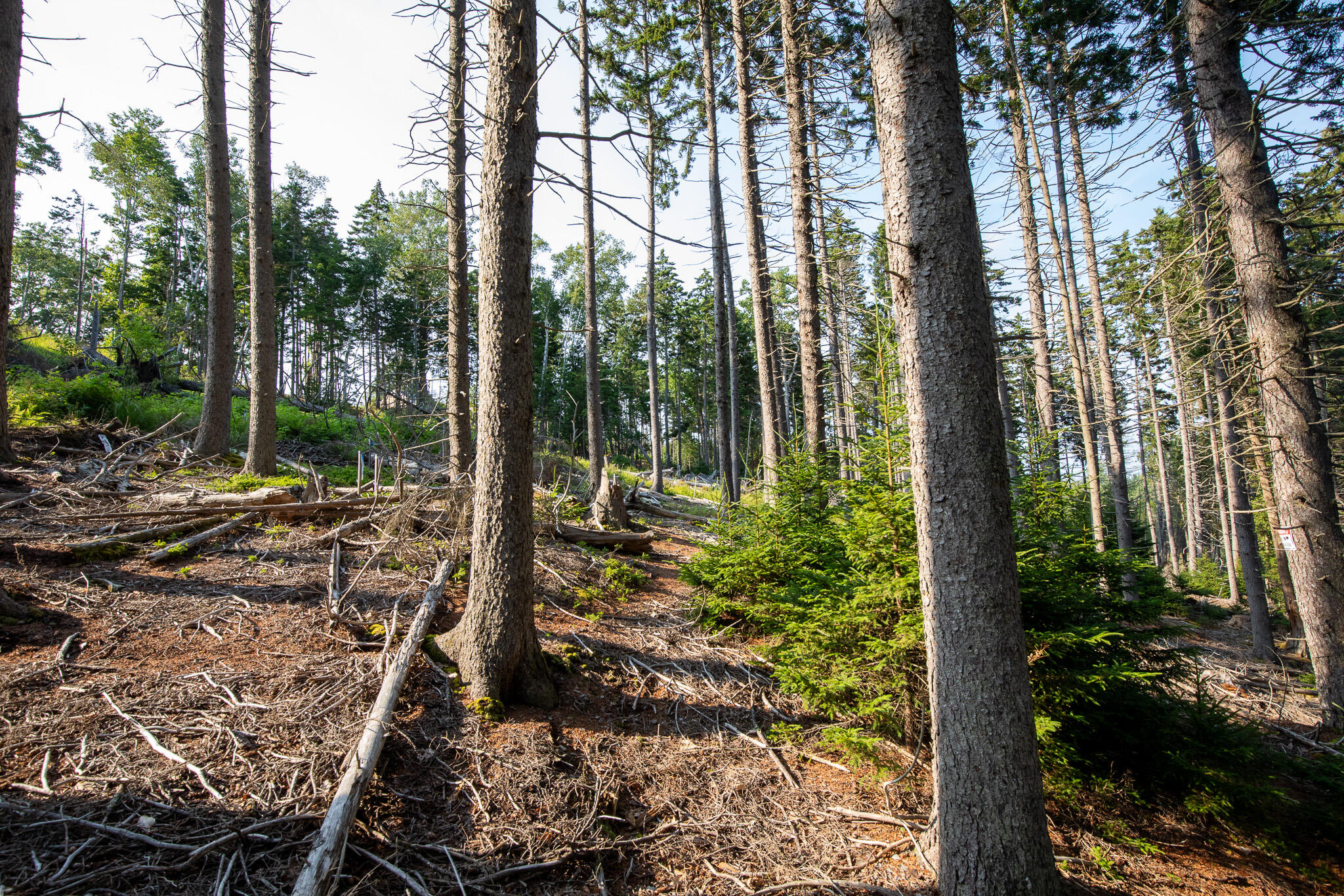 0 Bayview Road Harpswell ME 04066