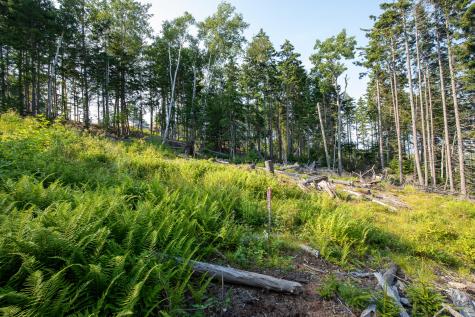 0 Bayview Road Harpswell ME 04066