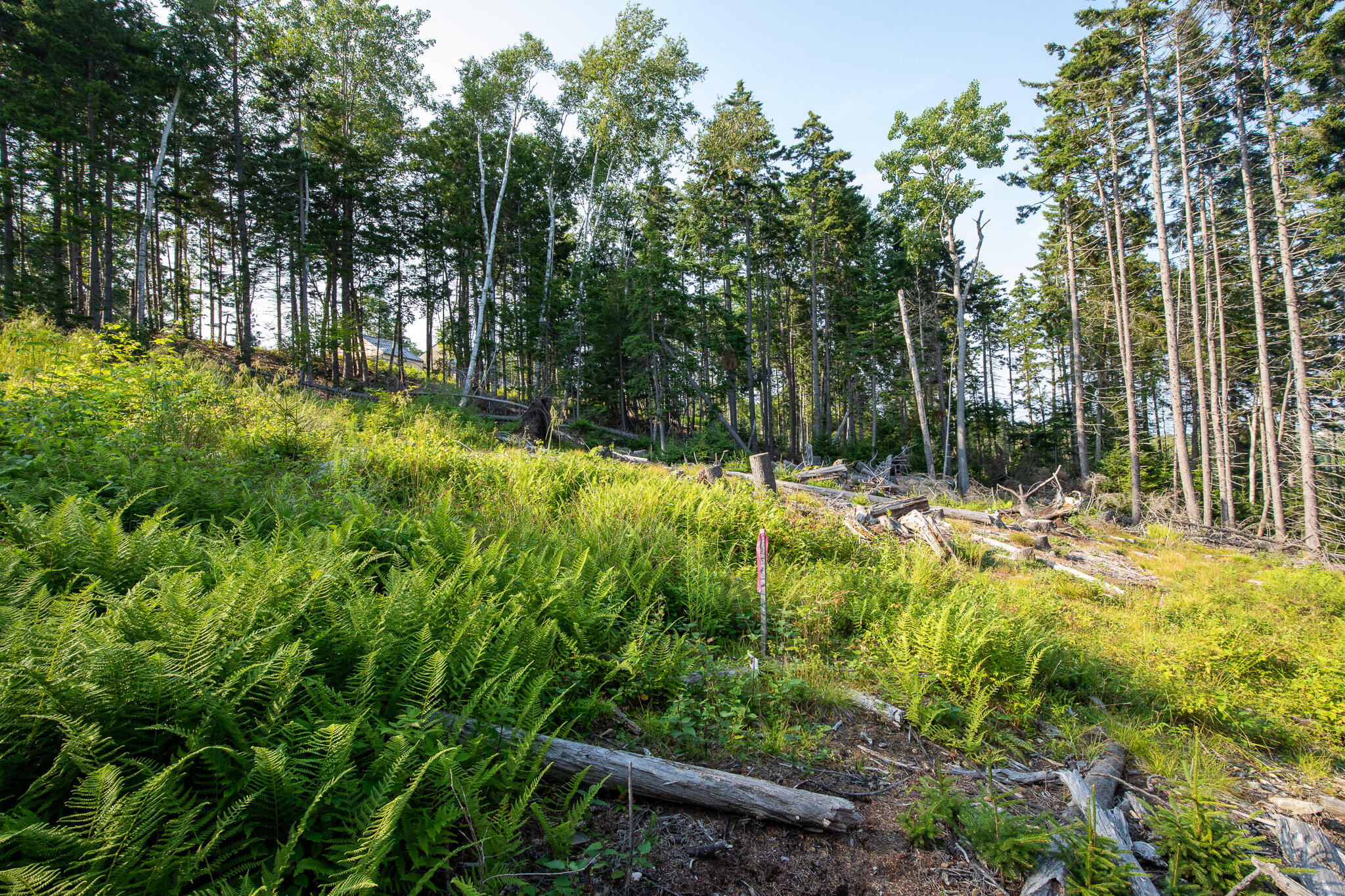 0 Bayview Road Harpswell ME 04066