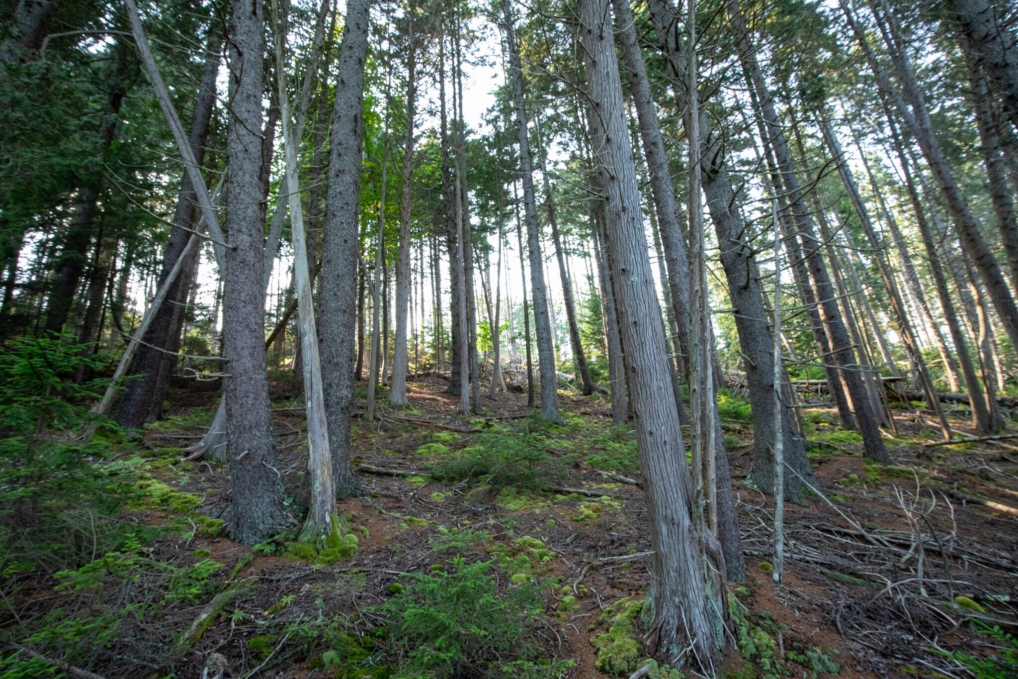 0 Bayview Road Harpswell ME 04066