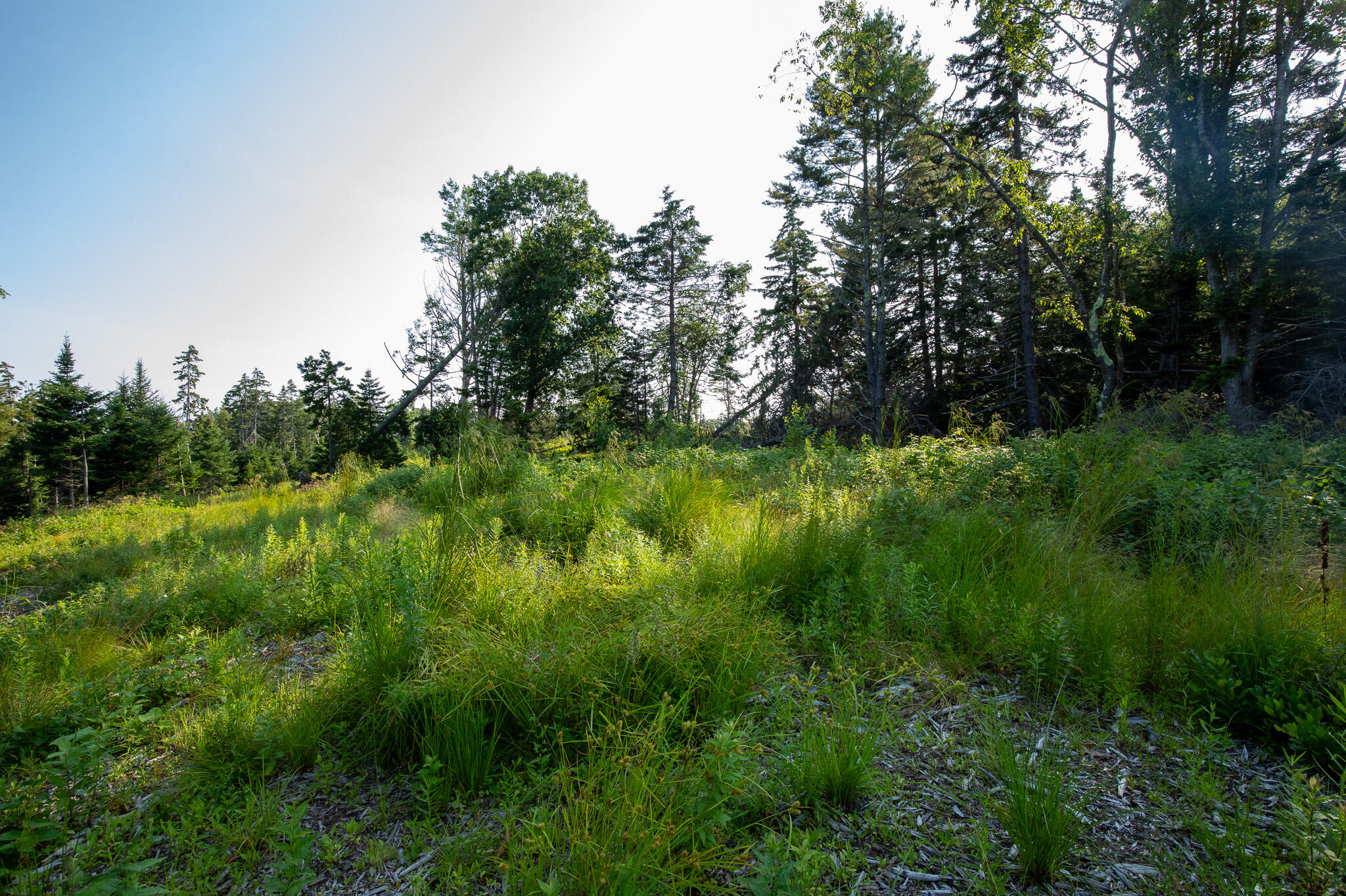 0 Bayview Road Harpswell ME 04066