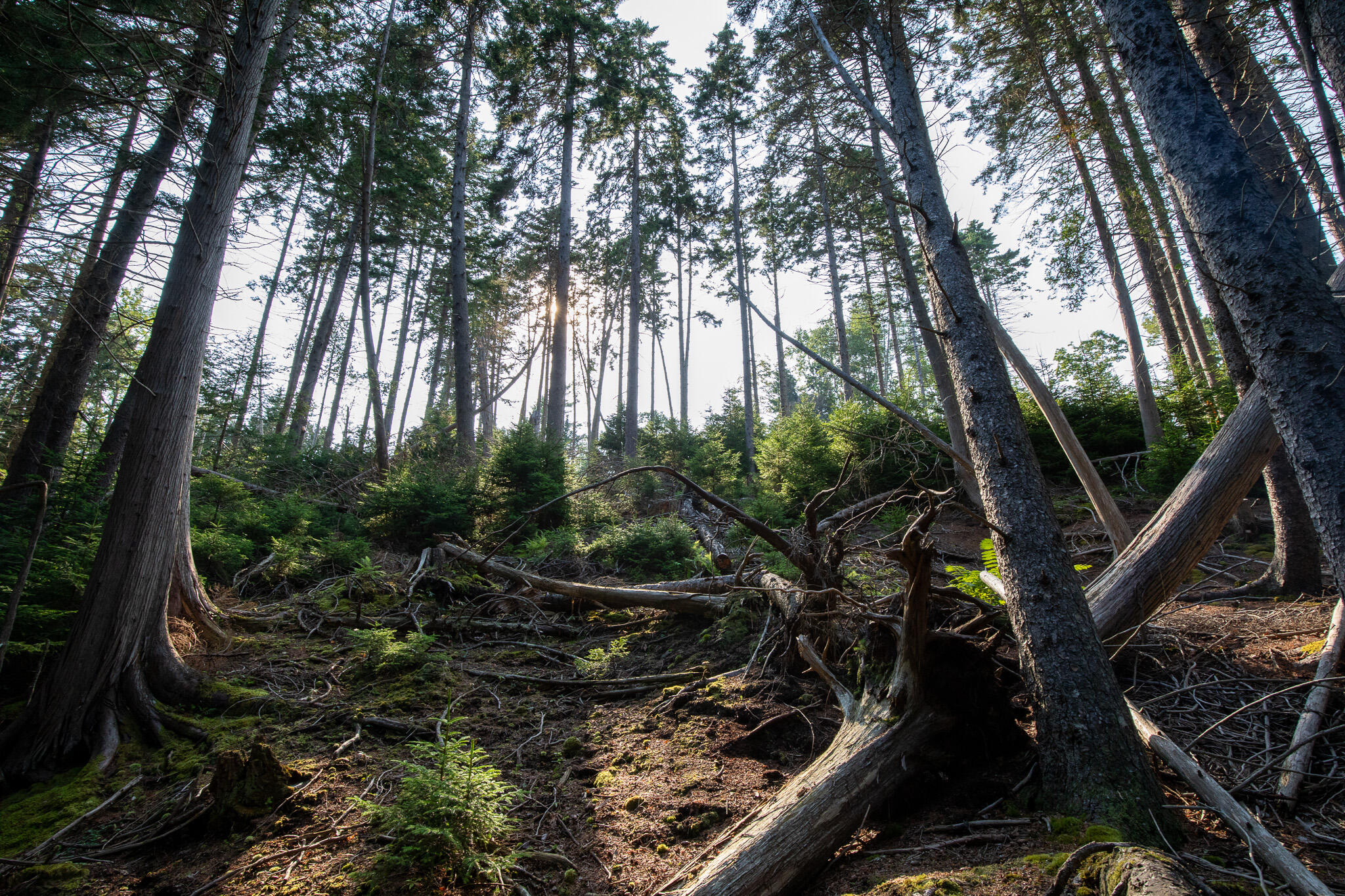 0 Bayview Road Harpswell ME 04066