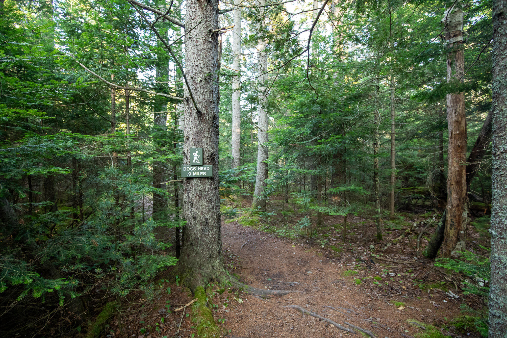 0 Bayview Road Harpswell ME 04066