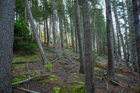 0 Bayview Road Harpswell ME 04066