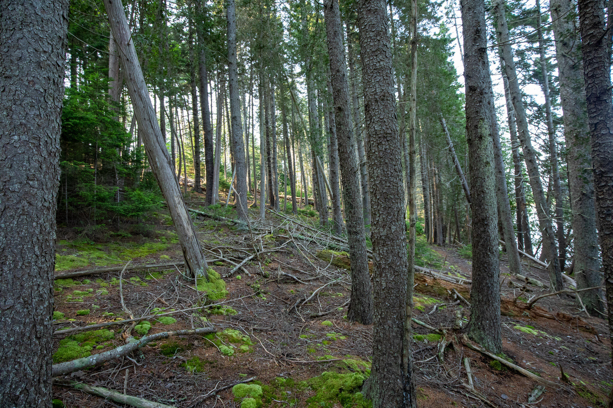 0 Bayview Road Harpswell ME 04066