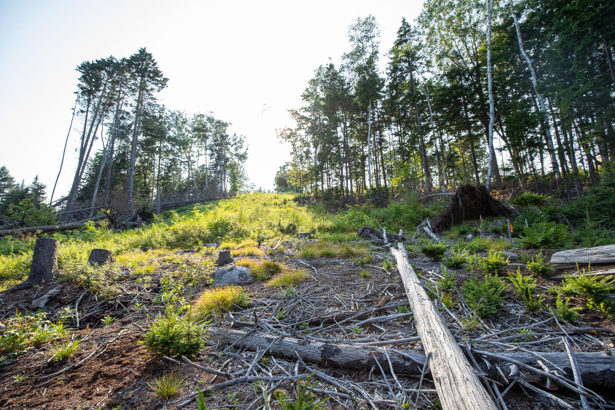 0 Bayview Road Harpswell ME 04066