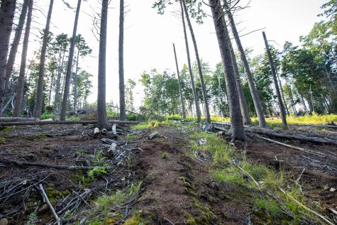 0 Bayview Road Harpswell ME 04066