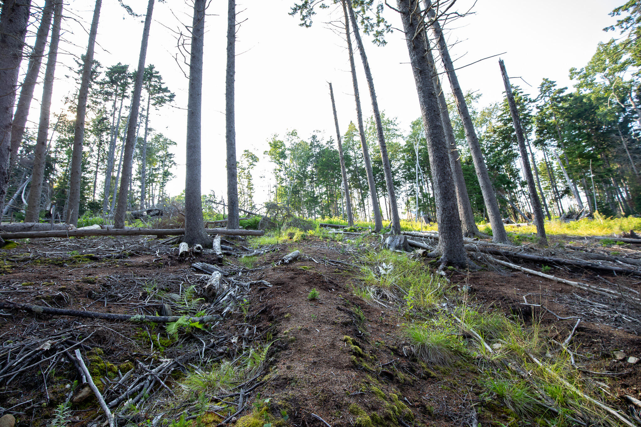 0 Bayview Road Harpswell ME 04066