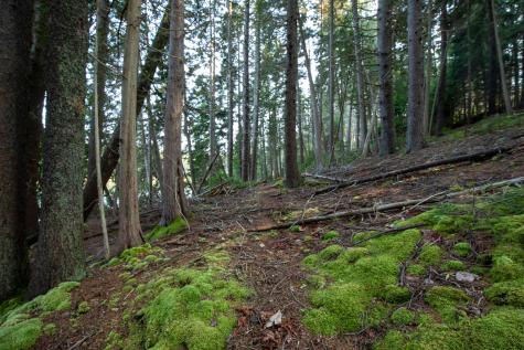 0 Bayview Road Harpswell ME 04066
