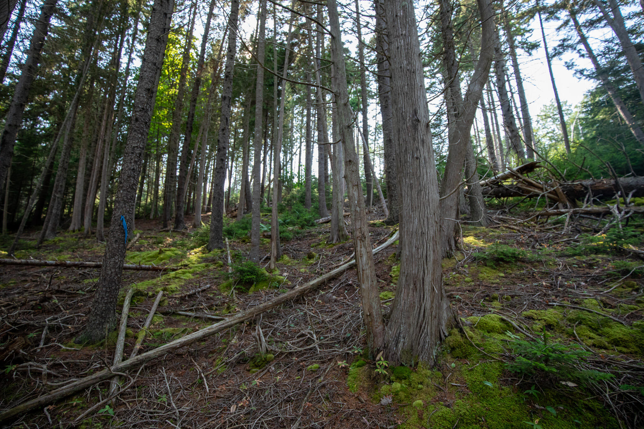 0 Bayview Road Harpswell ME 04066