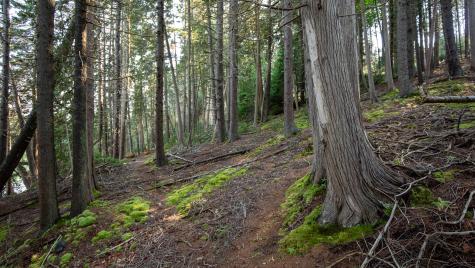 0 Bayview Road Harpswell ME 04066