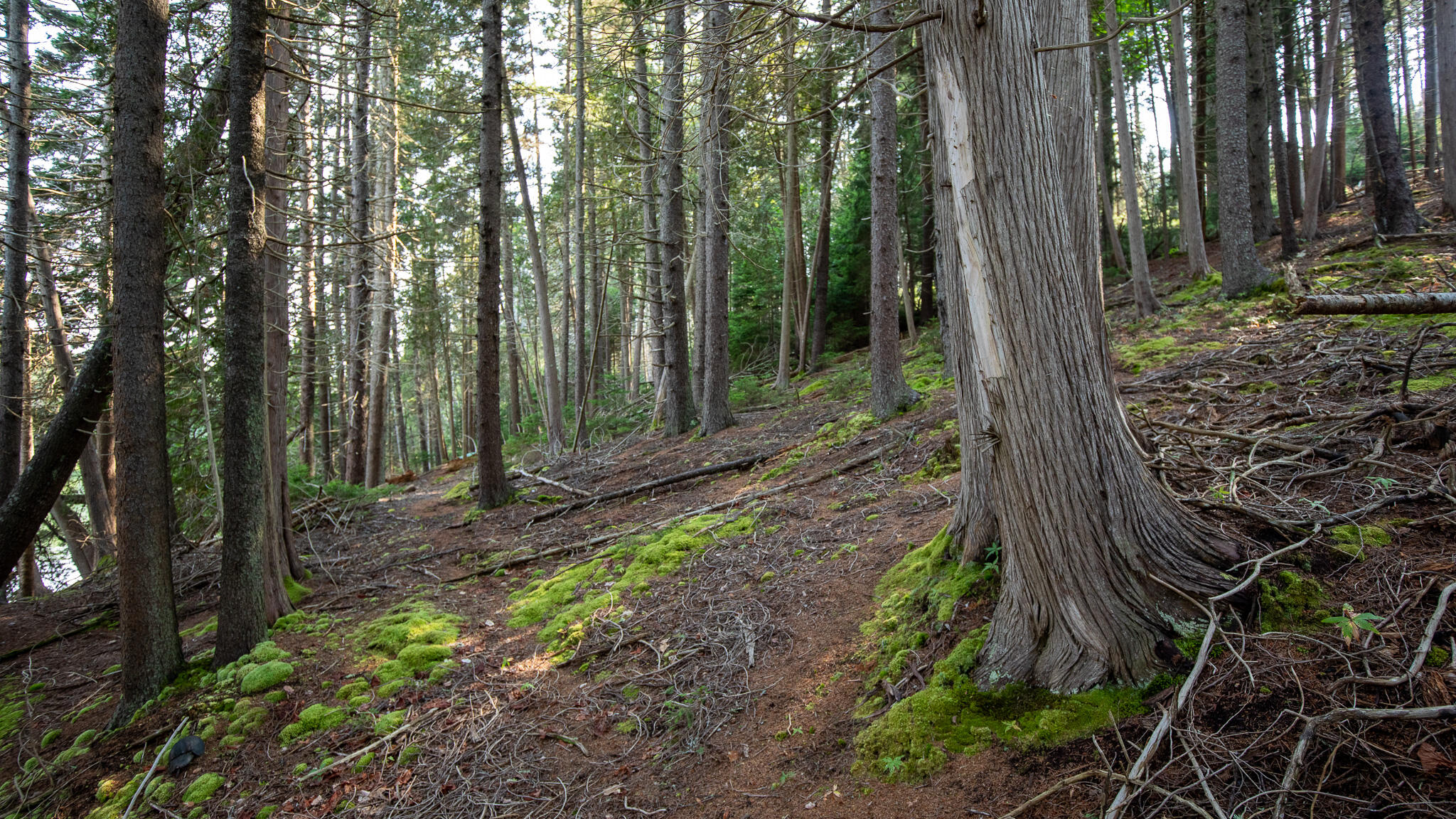 0 Bayview Road Harpswell ME 04066