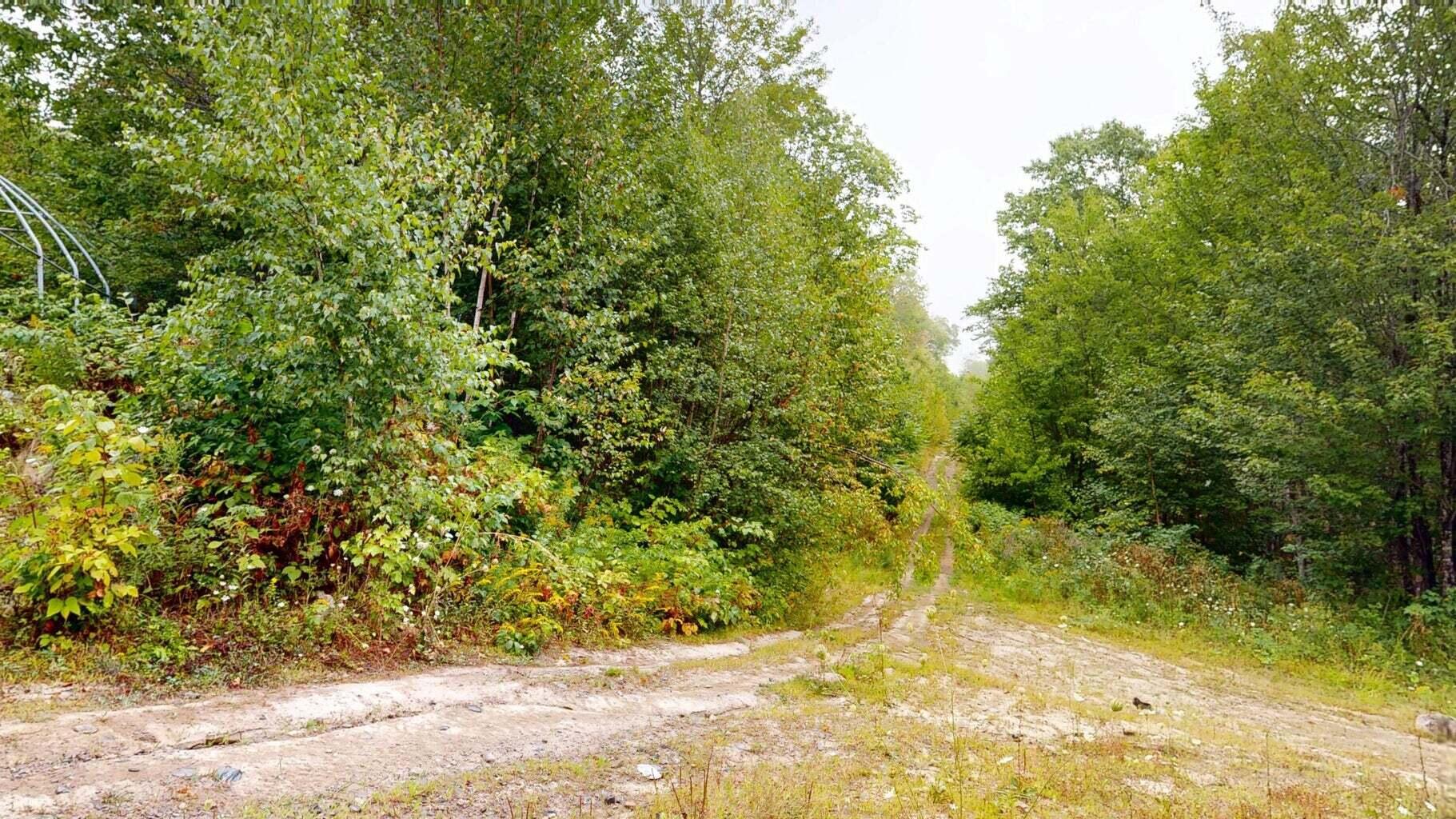 34 Blind Owl Lane Winterport ME 04496