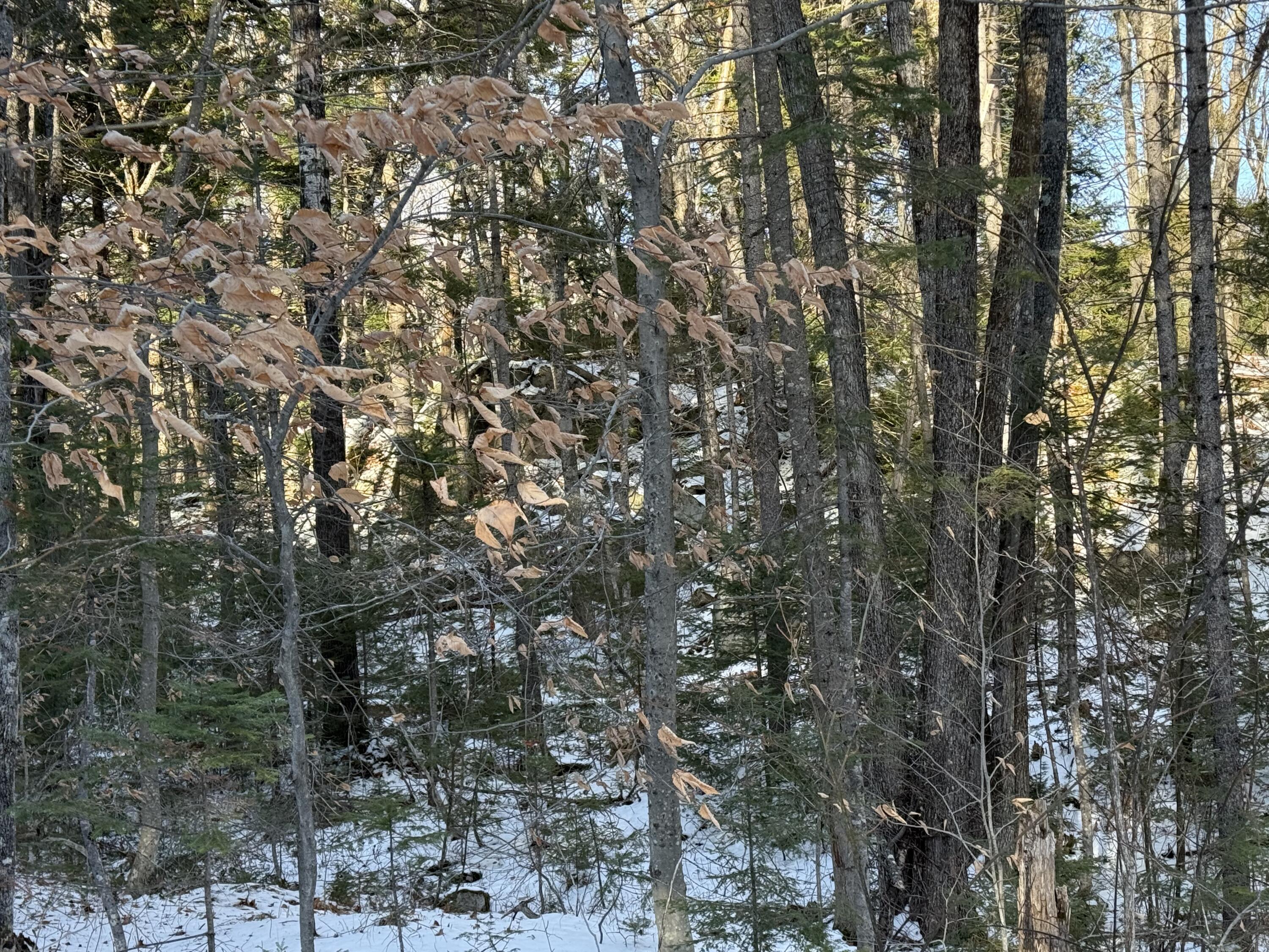 R6L9 Dickey Mills Road Avon ME 04966