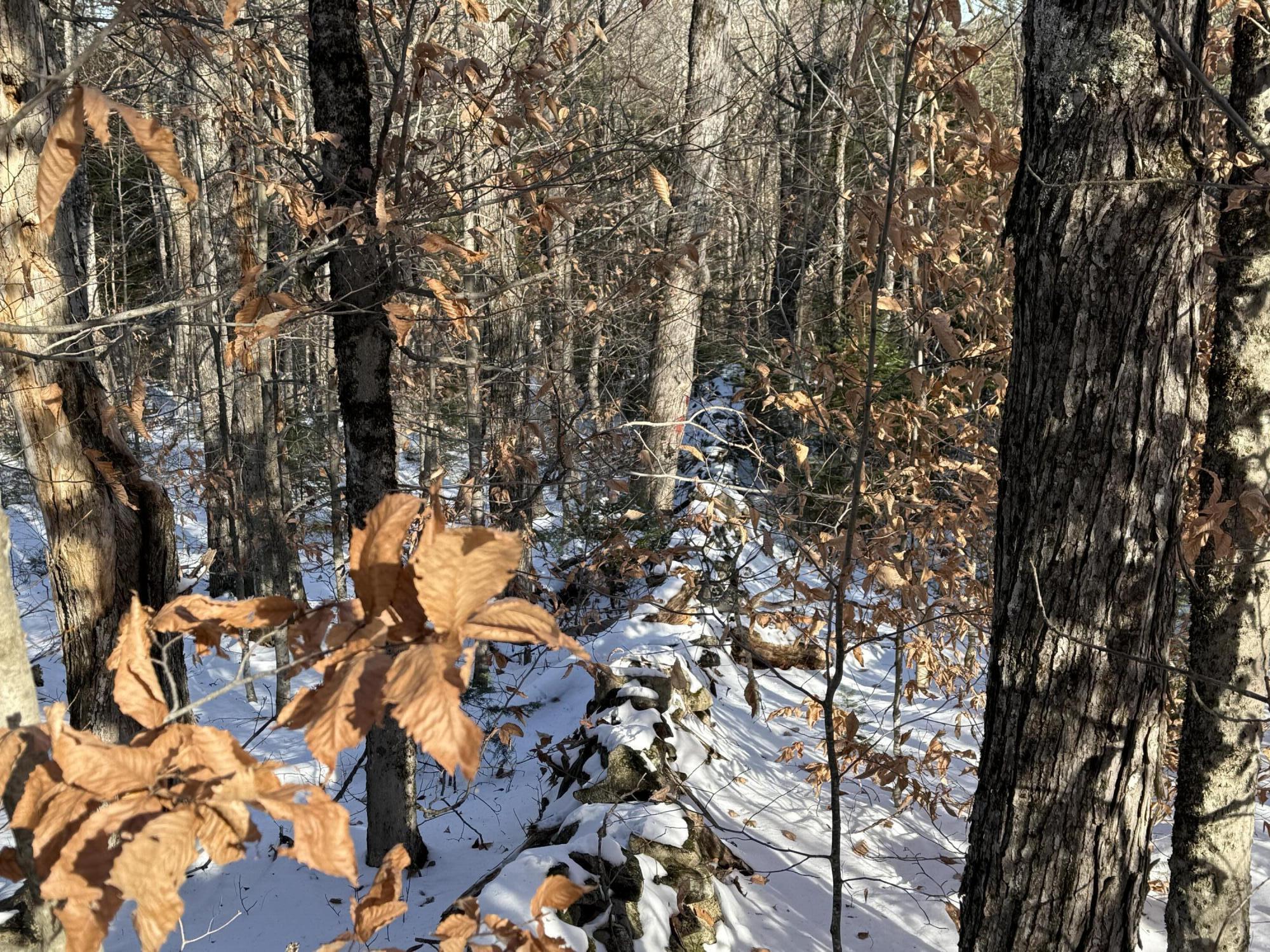 R6L9 Dickey Mills Road Avon ME 04966