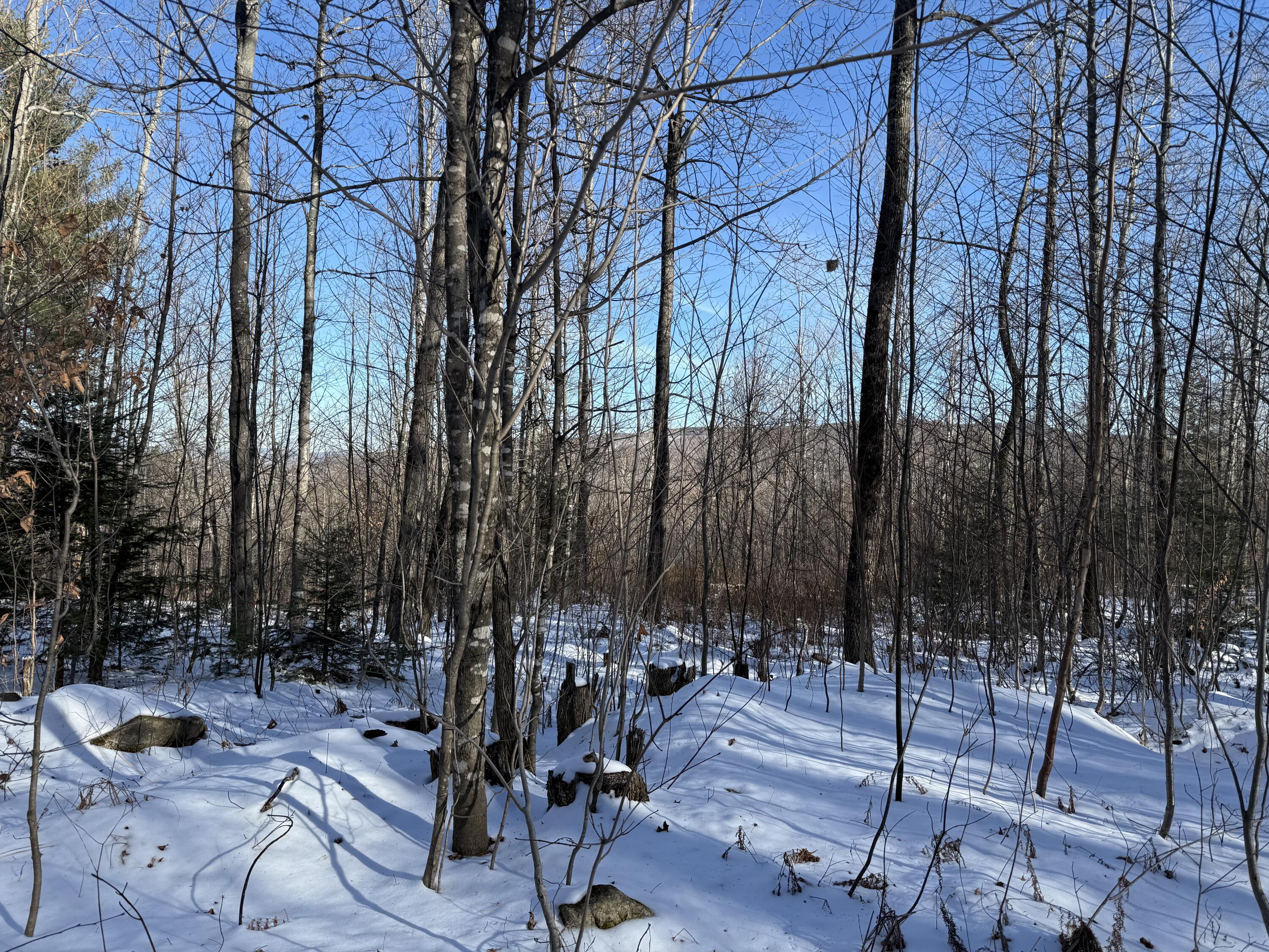 R6L9 Dickey Mills Road Avon ME 04966