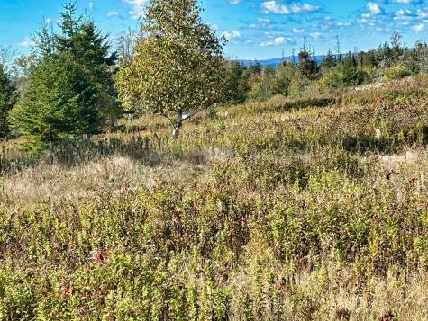 274 West District Road North Haven ME 04853