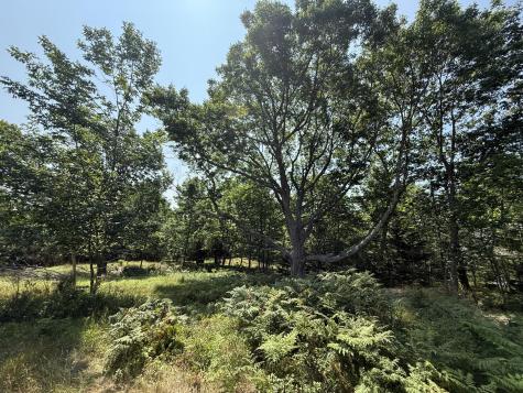 011-032-4 A.w. Smith Road Vinalhaven ME 04863