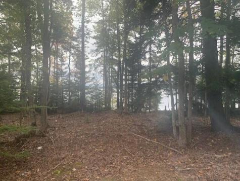 Lot 178k Rays Point Road Milbridge ME 04658
