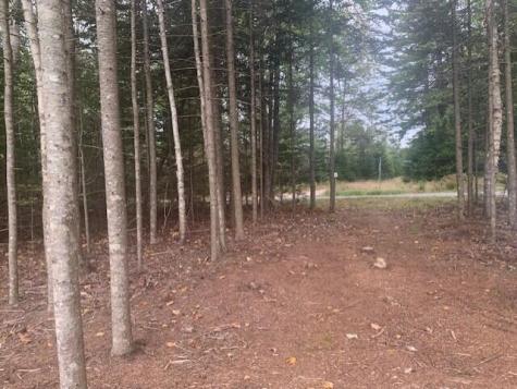Lot 178k Rays Point Road Milbridge ME 04658