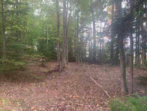 Lot 178k Rays Point Road Milbridge ME 04658