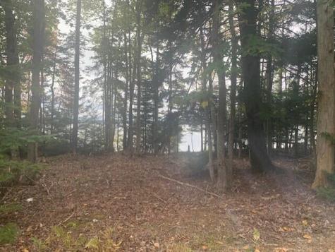 Lot 178k Rays Point Road Milbridge ME 04658