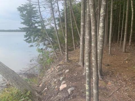 Lot 178k Rays Point Road Milbridge ME 04658