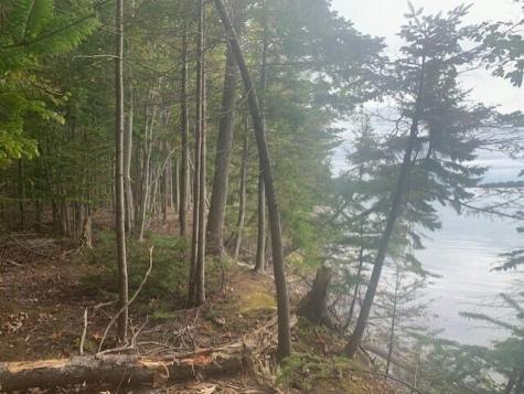 Lot 178k Rays Point Road Milbridge ME 04658