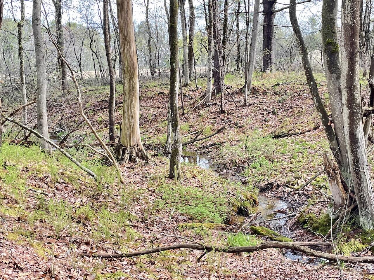 7 Coastal Pines (lot 3) Cumberland ME 04021