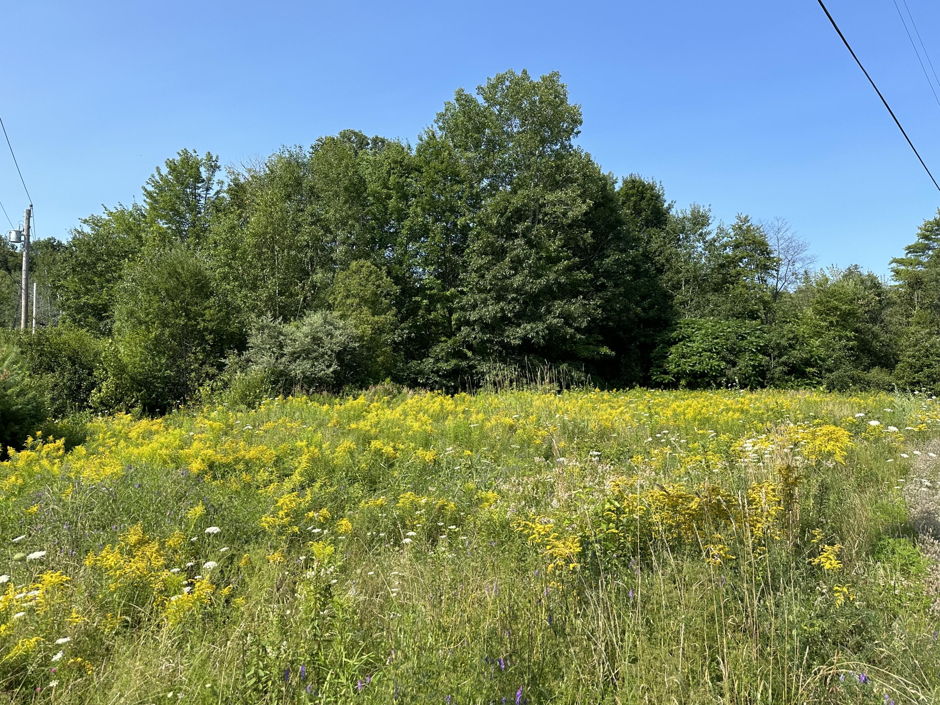 1 Bowling Green Lane Belfast ME 04915