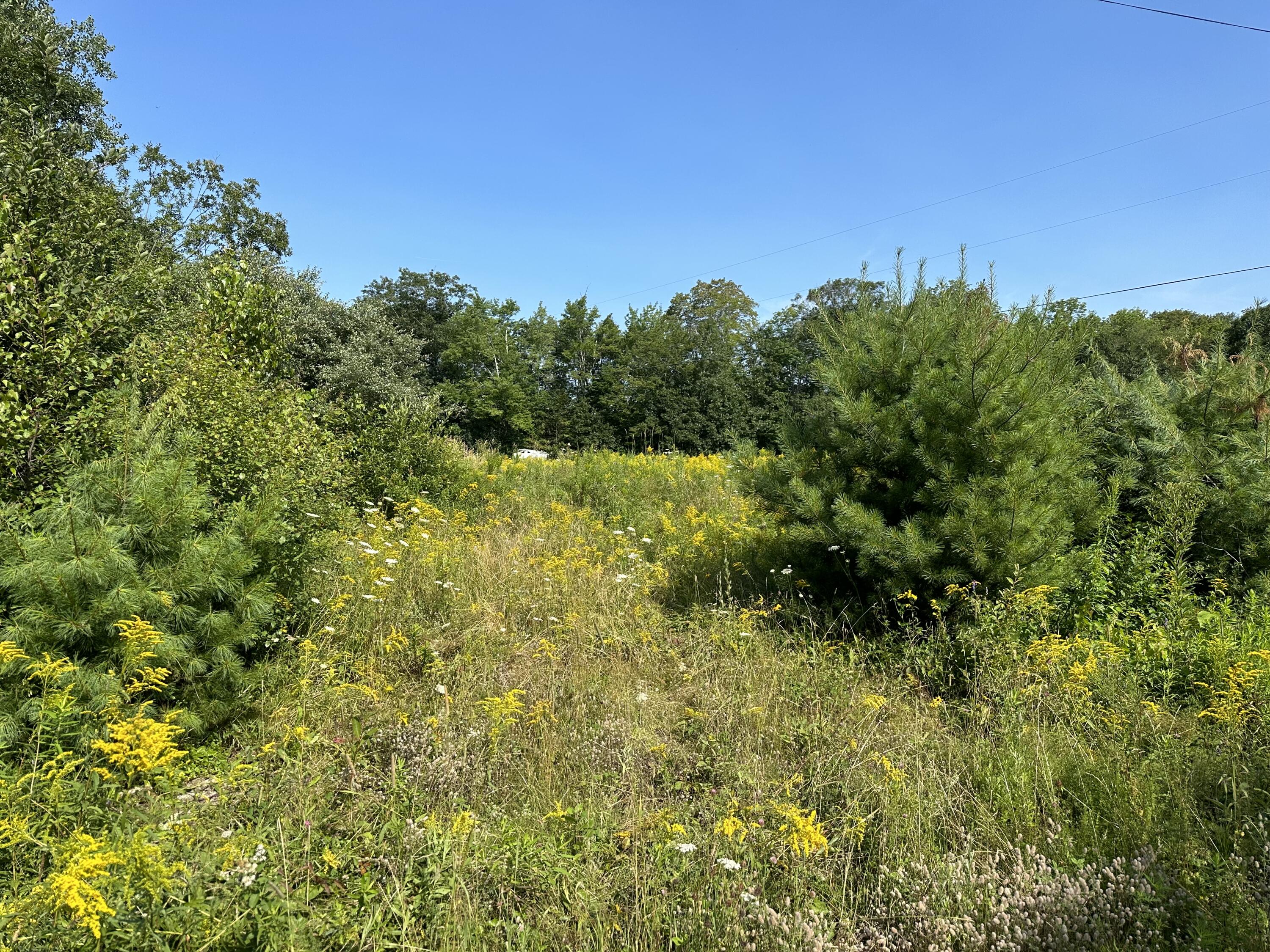 1 Bowling Green Lane Belfast ME 04915