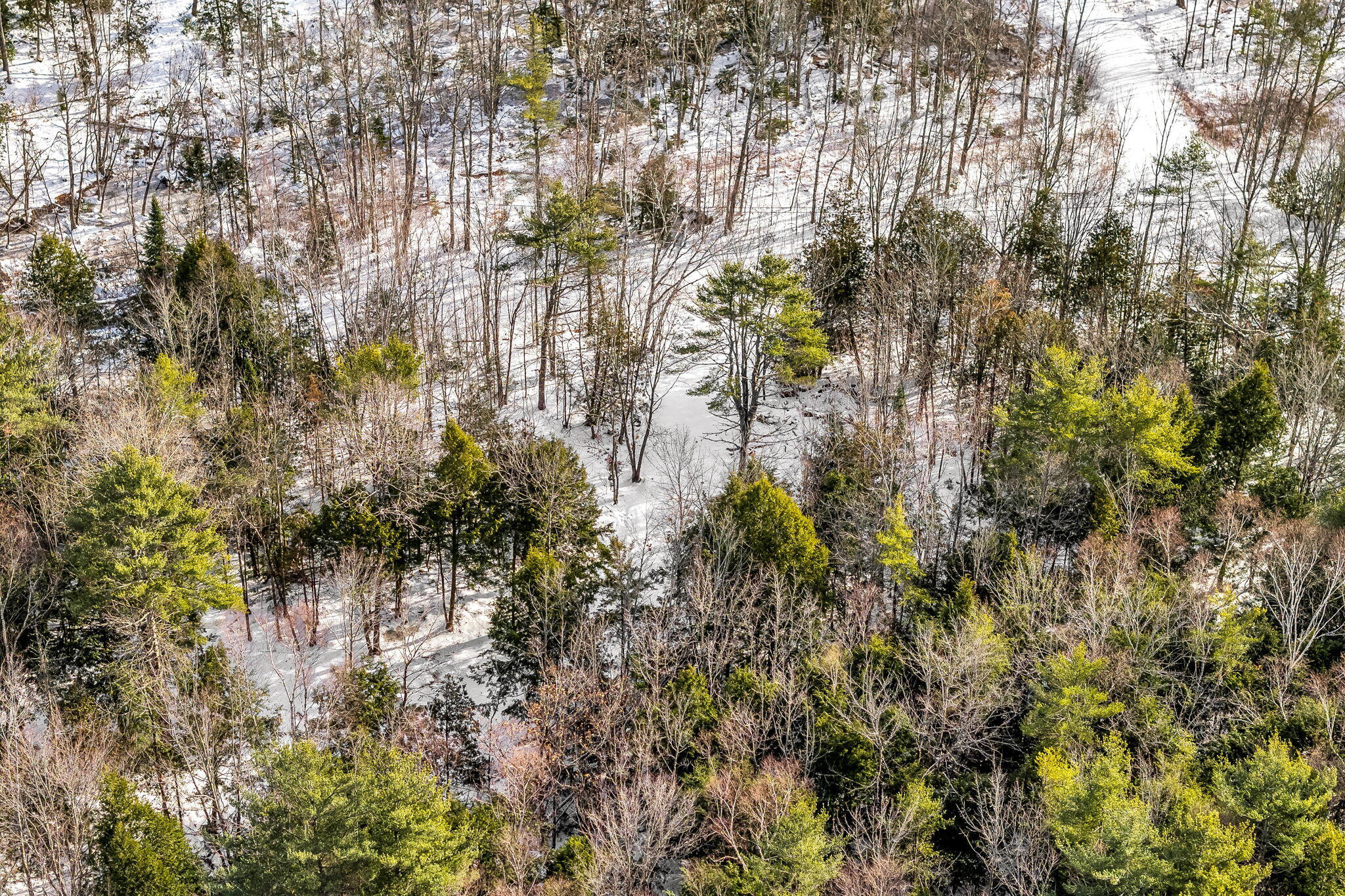 9-6 Page Rd Road Etna ME 04434