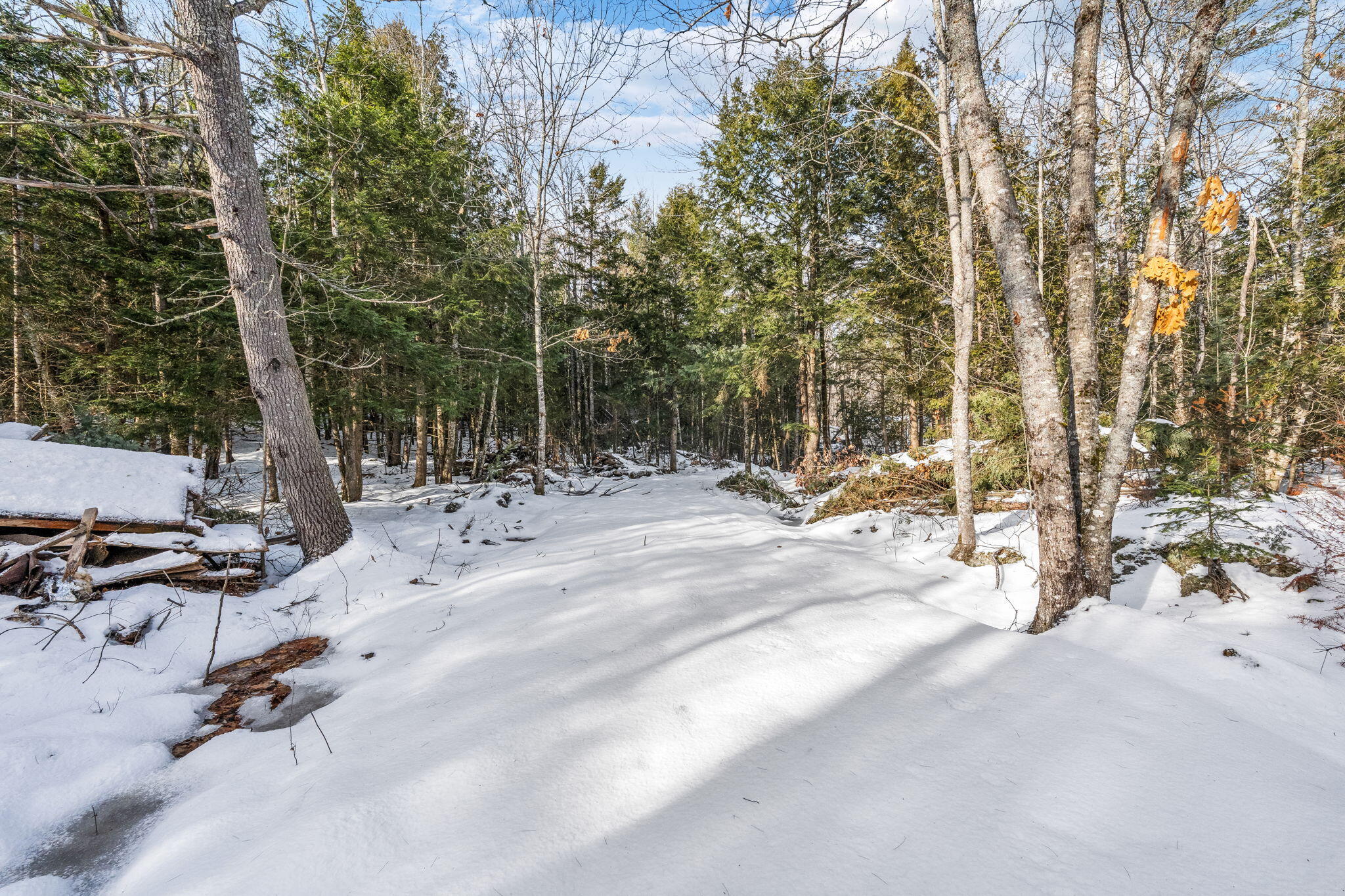 9-6 Page Rd Road Etna ME 04434