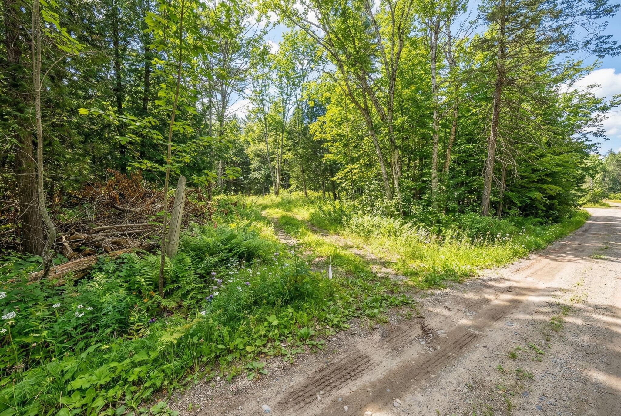 9-6 Page Rd Road Etna ME 04434