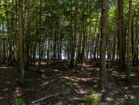 Lot 5 Black Cat Point Princeton ME 04668