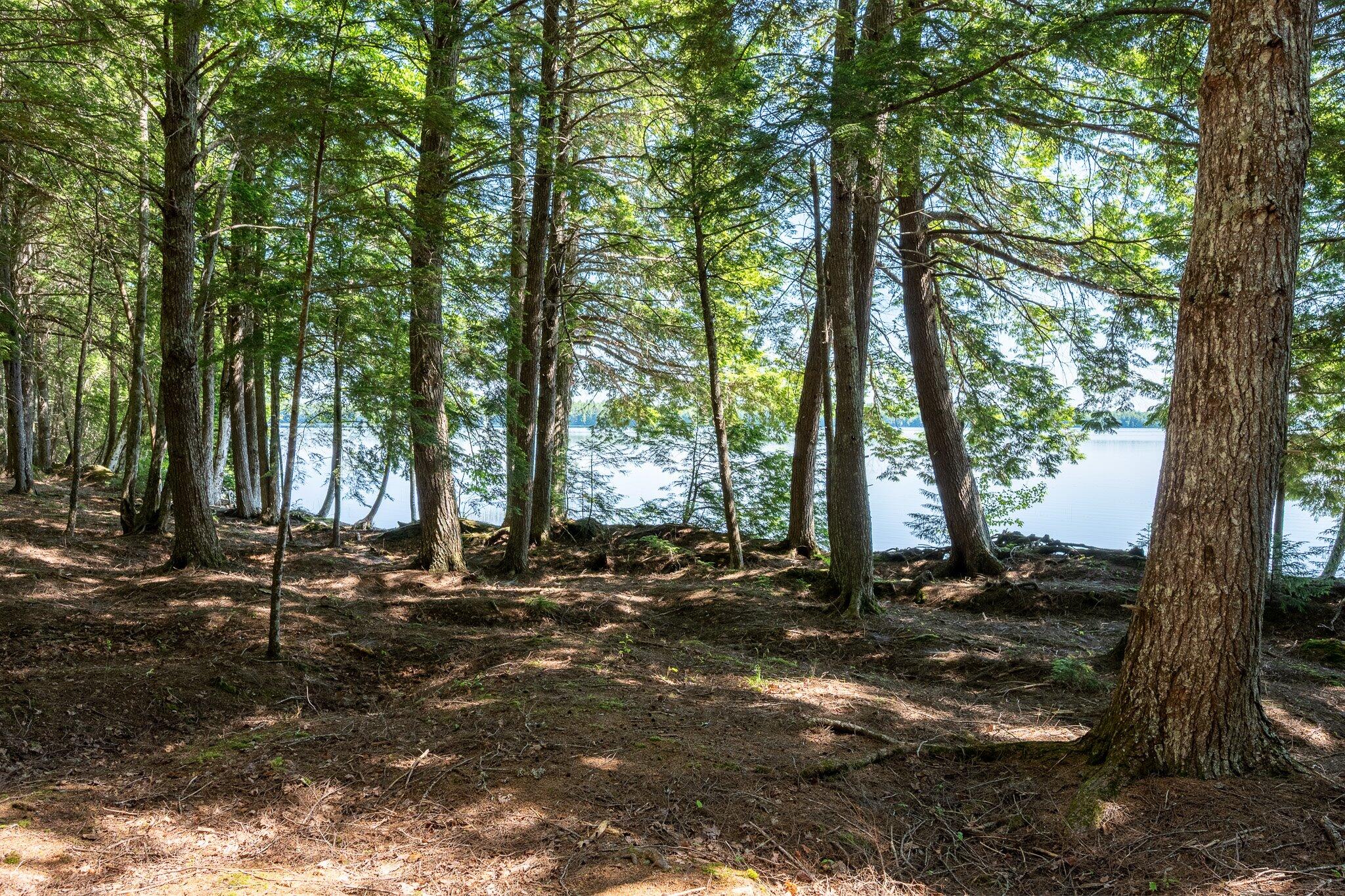 Lot 5 Black Cat Point Princeton ME 04668