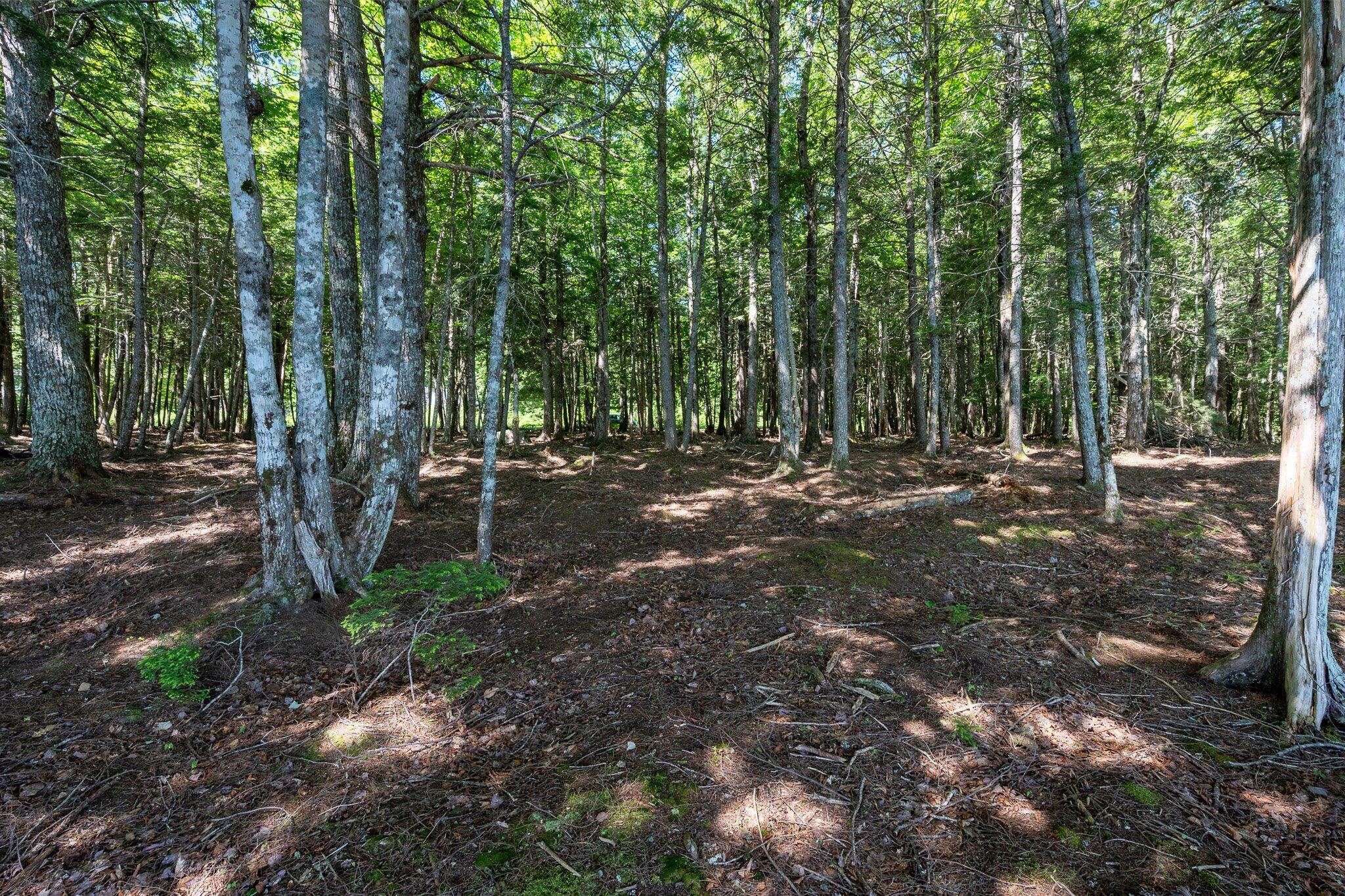 Lot 5 Black Cat Point Princeton ME 04668