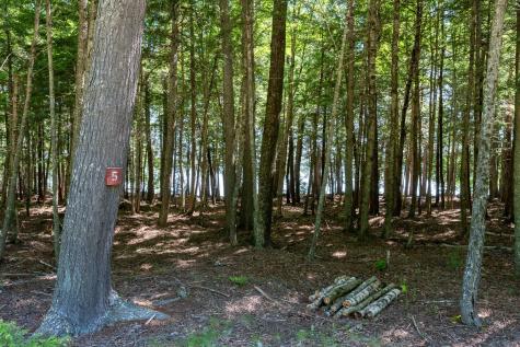Lot 5 Black Cat Point Princeton ME 04668