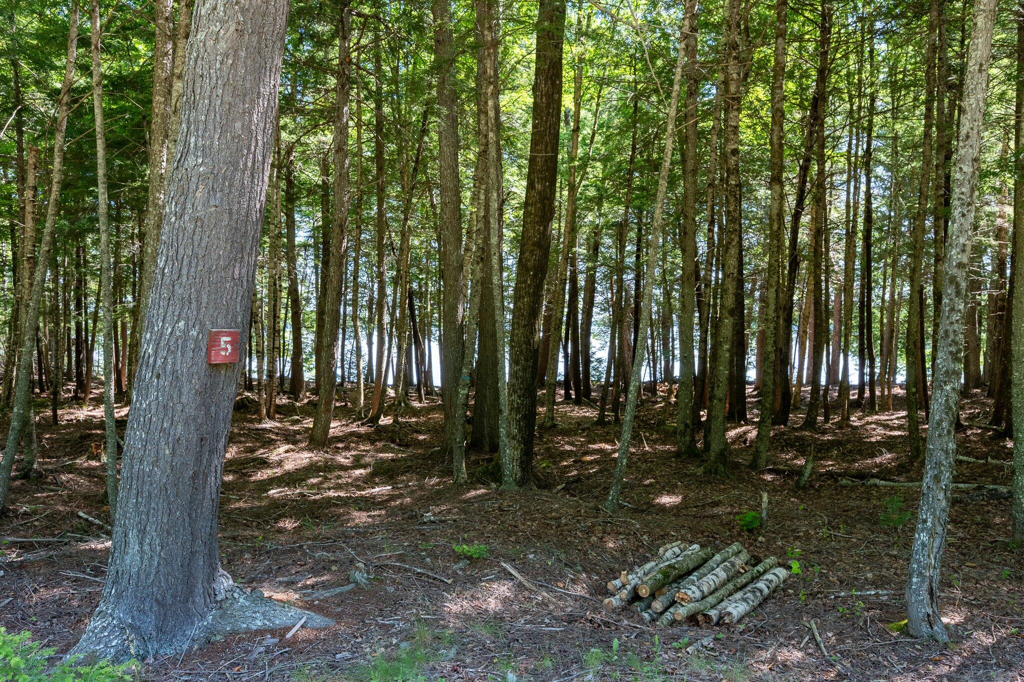 Lot 5 Black Cat Point Princeton ME 04668