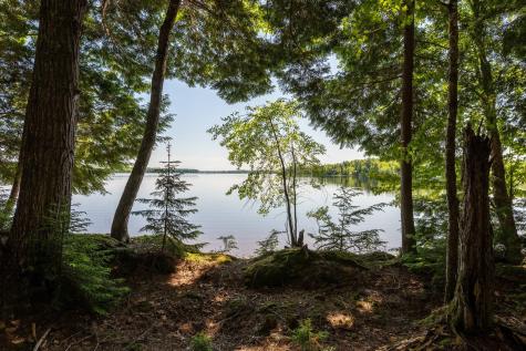 Lot 5 Black Cat Point Princeton ME 04668