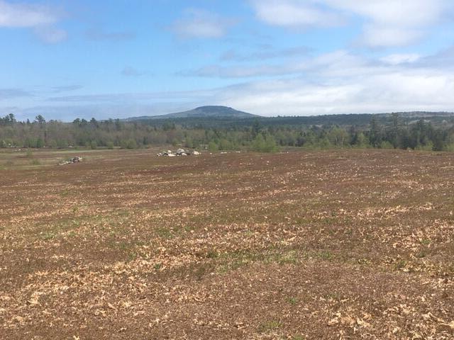 0 Kingdom Road Blue Hill ME 04614