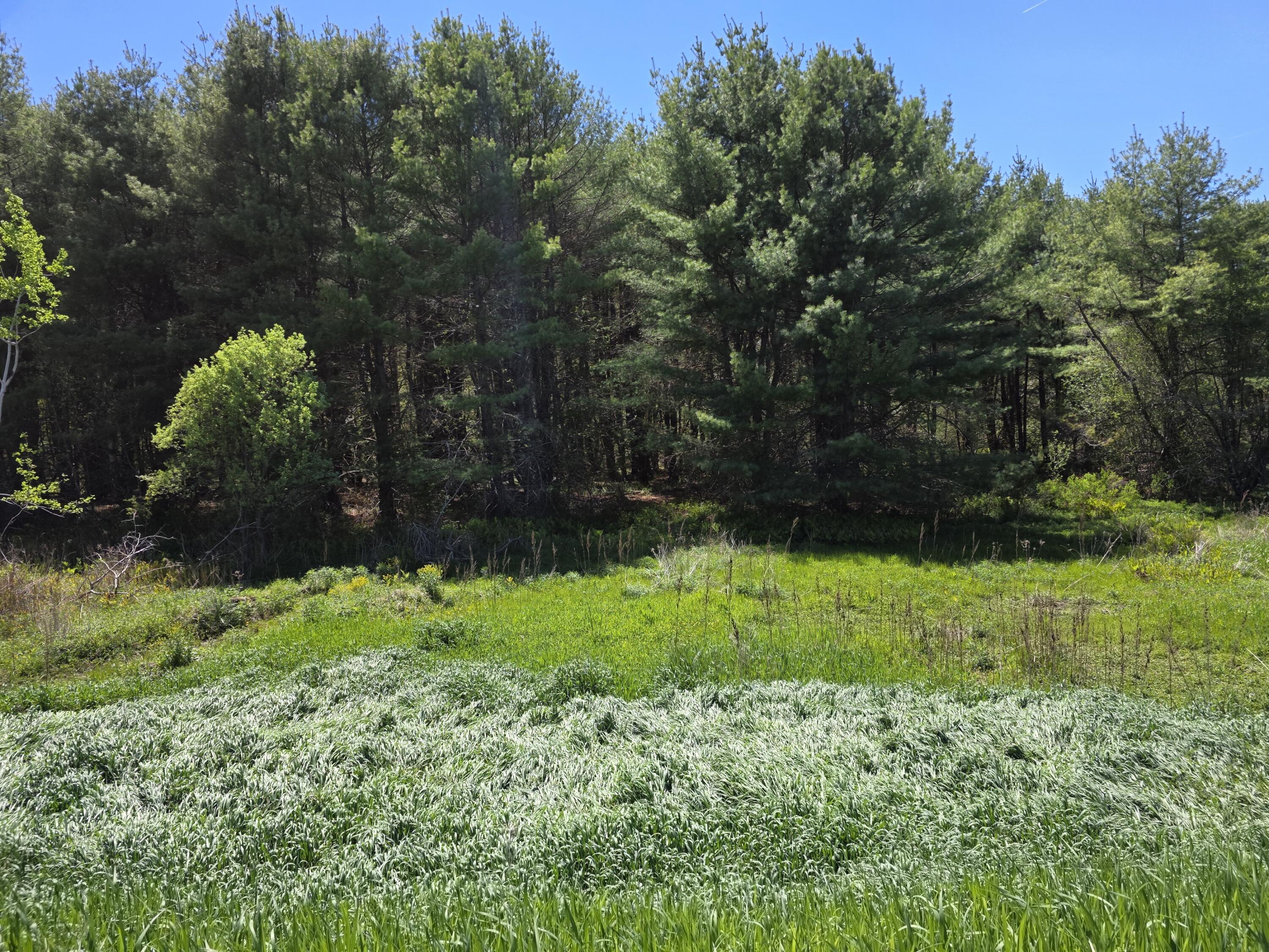 5 Goose River Estates Swanville ME 04915