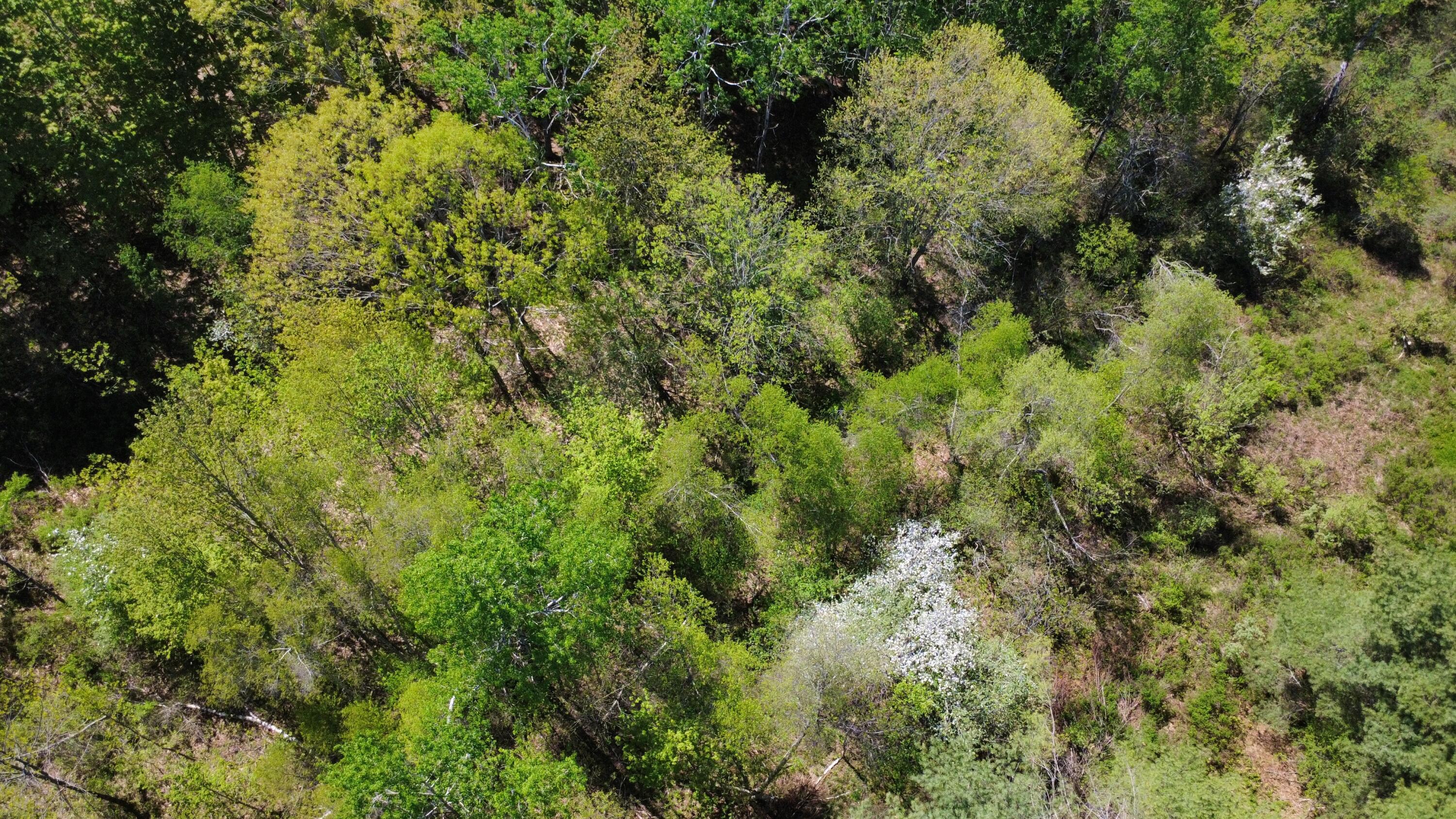 5 Goose River Estates Swanville ME 04915