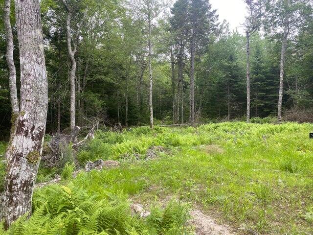 53 Woodland Drive Trenton ME 04605