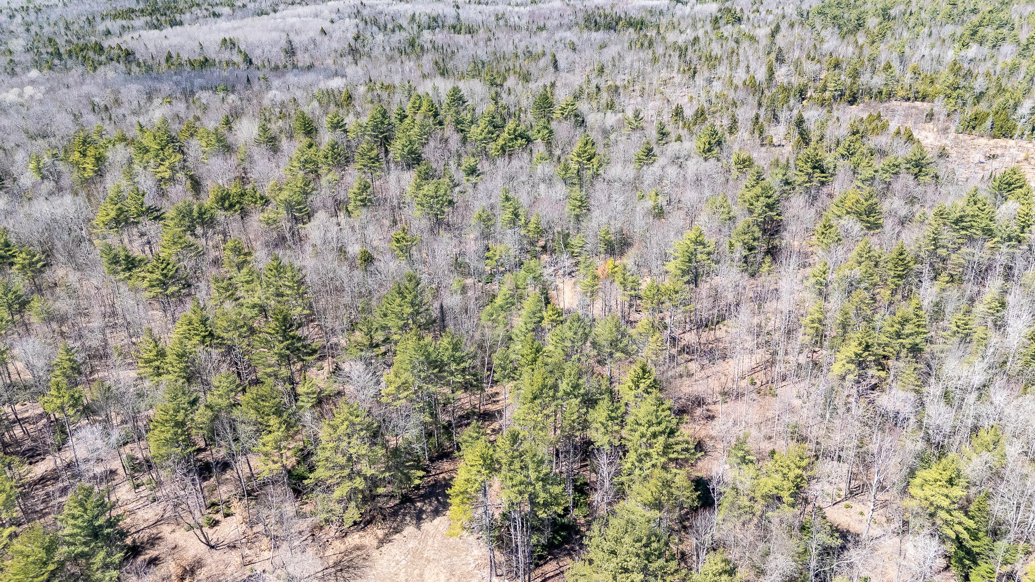 00 Bearce Road Sangerville ME 04479
