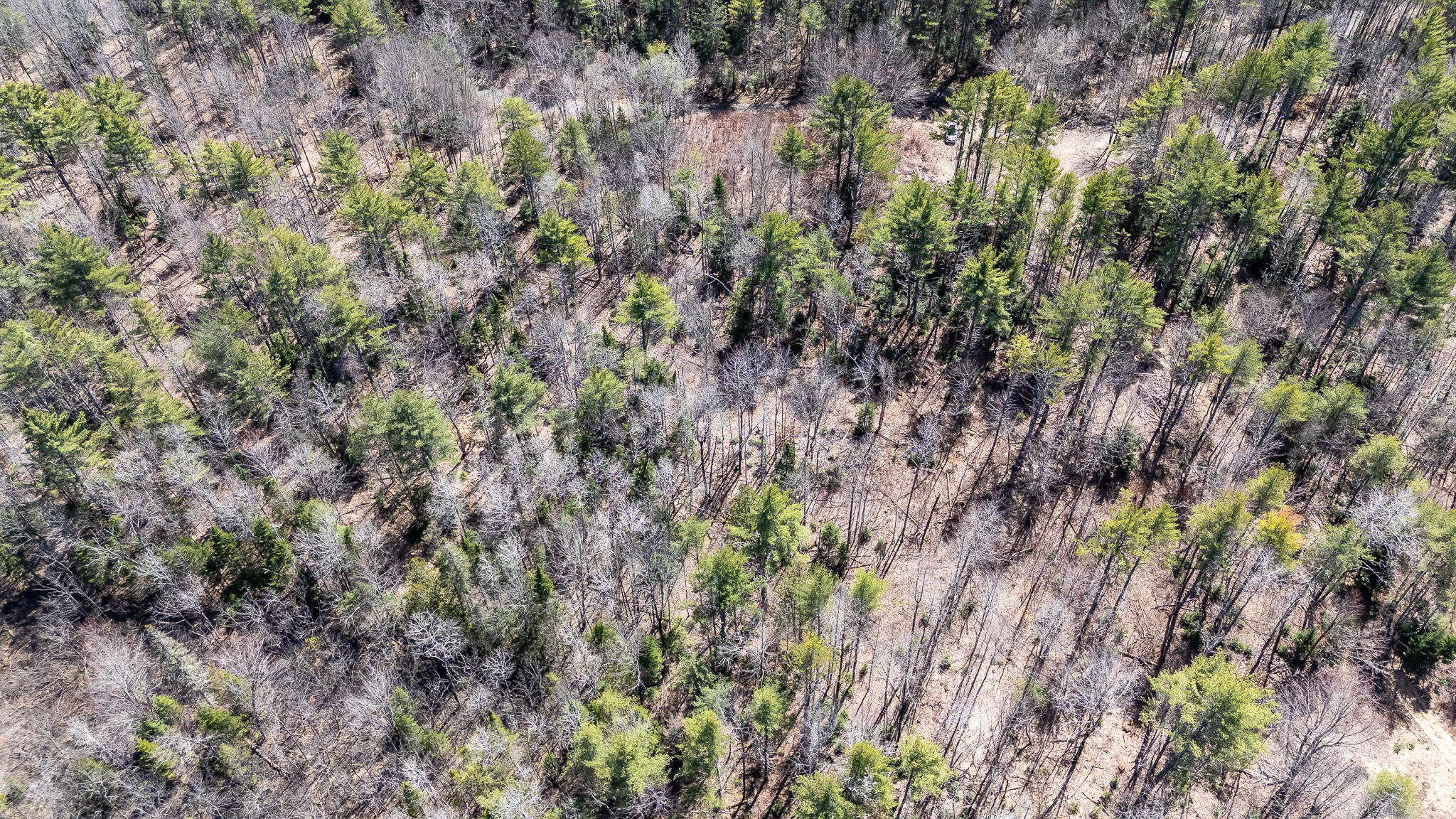 00 Bearce Road Sangerville ME 04479