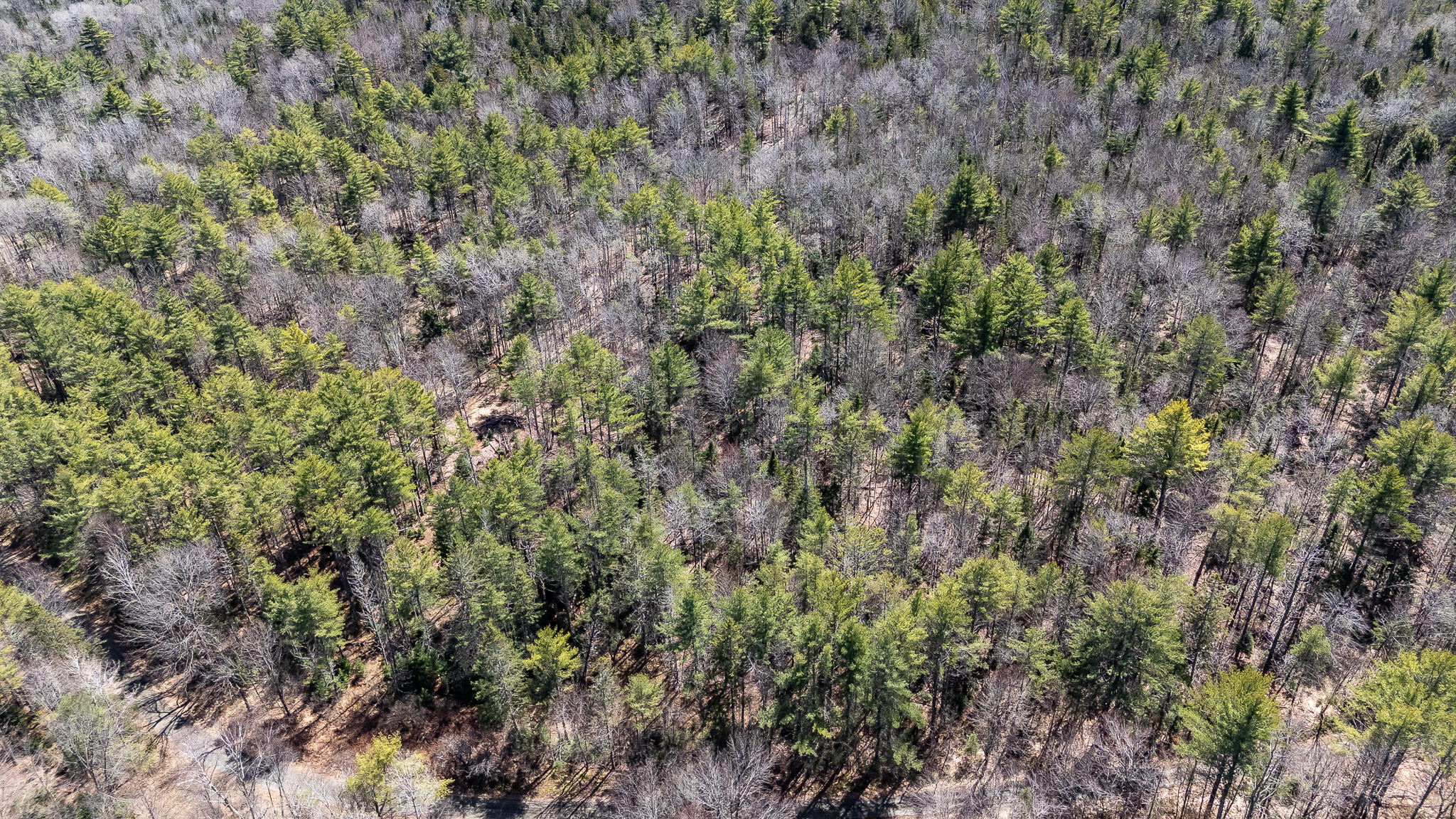 00 Bearce Road Sangerville ME 04479