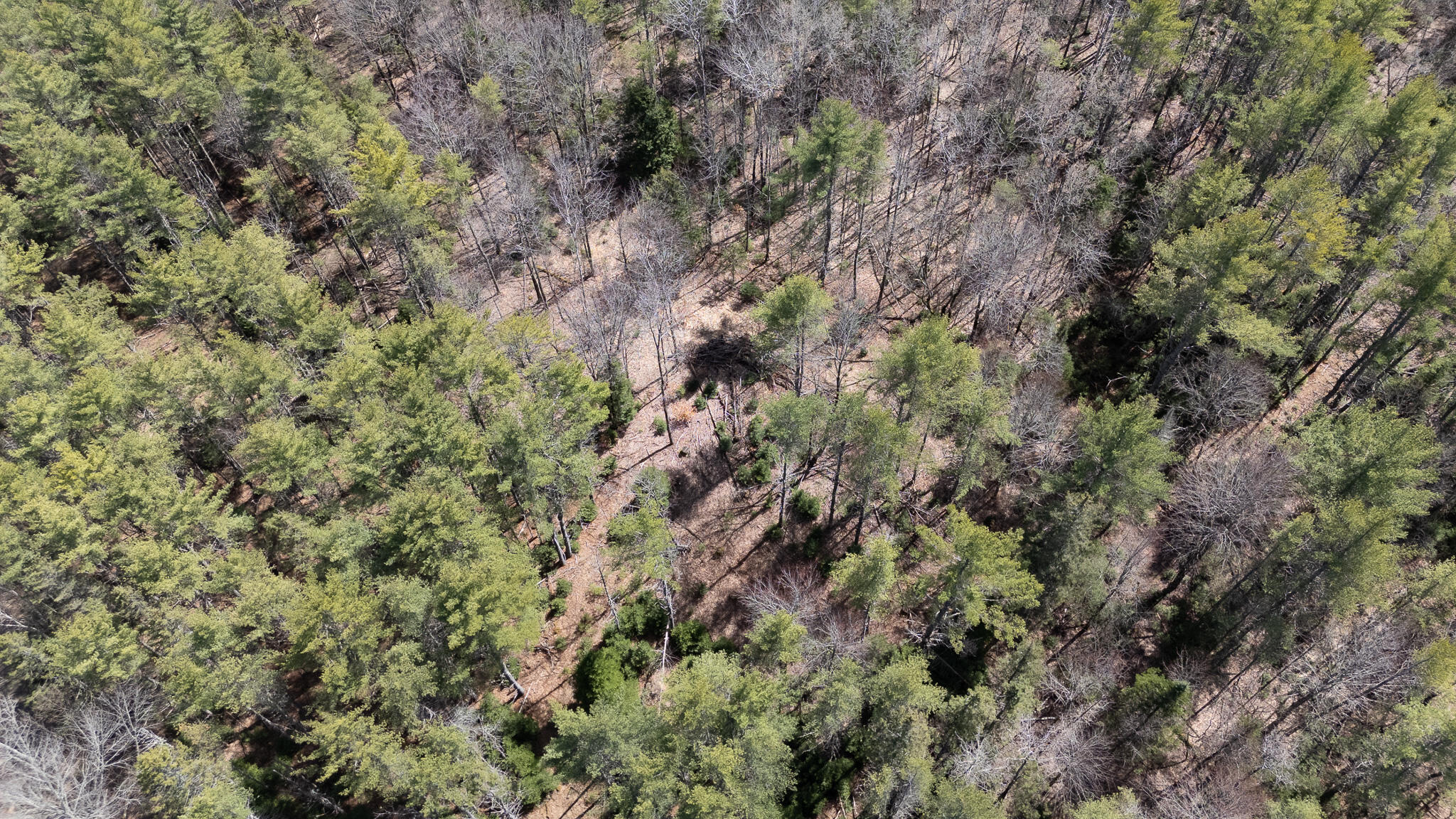 00 Bearce Road Sangerville ME 04479